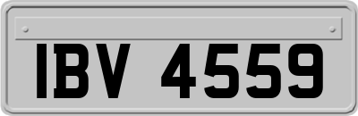 IBV4559