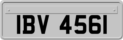 IBV4561