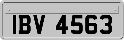 IBV4563