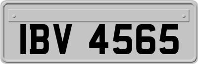 IBV4565