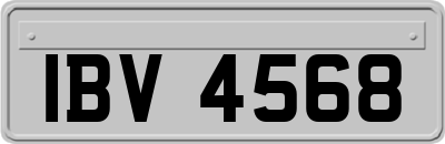 IBV4568