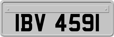 IBV4591