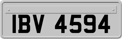 IBV4594