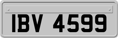 IBV4599