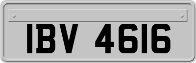 IBV4616