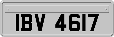 IBV4617
