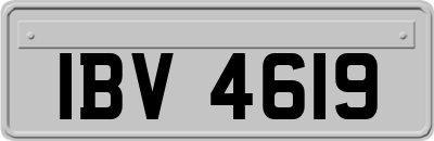 IBV4619