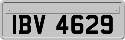 IBV4629