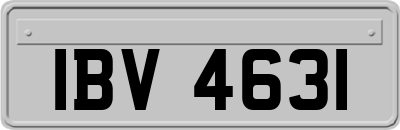 IBV4631