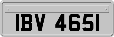 IBV4651