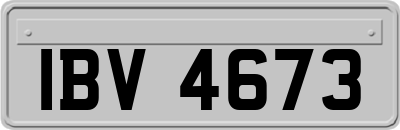 IBV4673