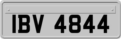 IBV4844