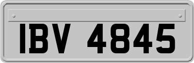 IBV4845