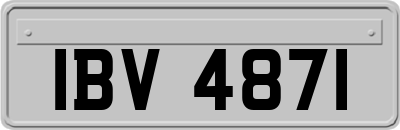 IBV4871