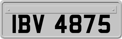 IBV4875