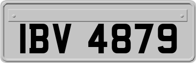 IBV4879
