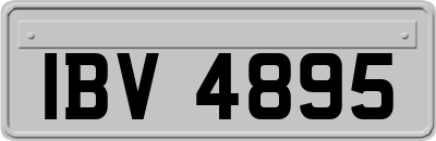 IBV4895