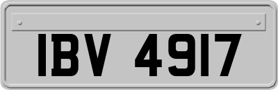 IBV4917