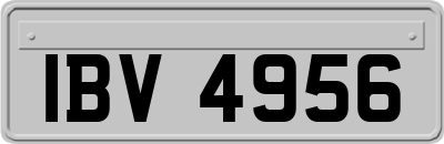 IBV4956