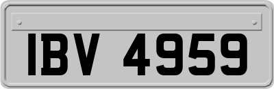 IBV4959