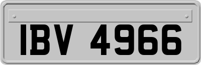 IBV4966