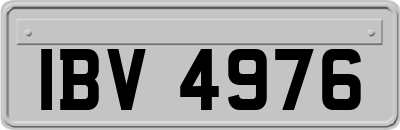 IBV4976