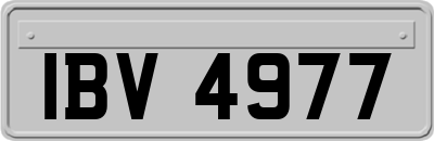 IBV4977