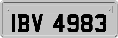 IBV4983