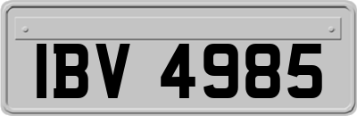 IBV4985