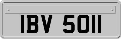 IBV5011