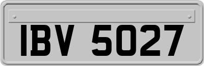 IBV5027