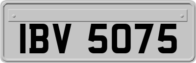 IBV5075