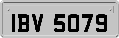 IBV5079