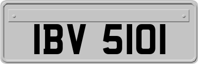 IBV5101