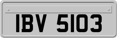 IBV5103