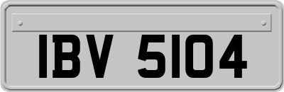 IBV5104