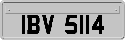 IBV5114