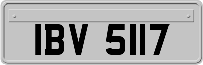 IBV5117