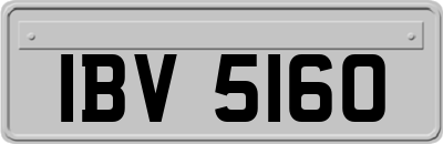 IBV5160
