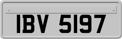 IBV5197