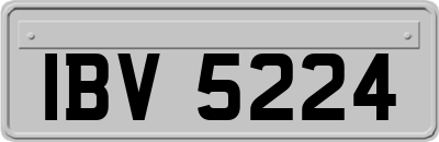 IBV5224