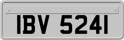IBV5241