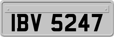 IBV5247