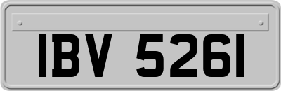 IBV5261