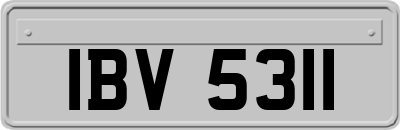 IBV5311