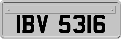 IBV5316