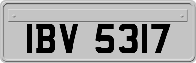IBV5317
