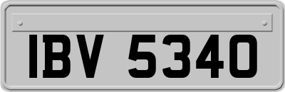 IBV5340