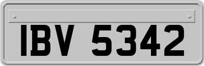 IBV5342