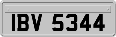 IBV5344